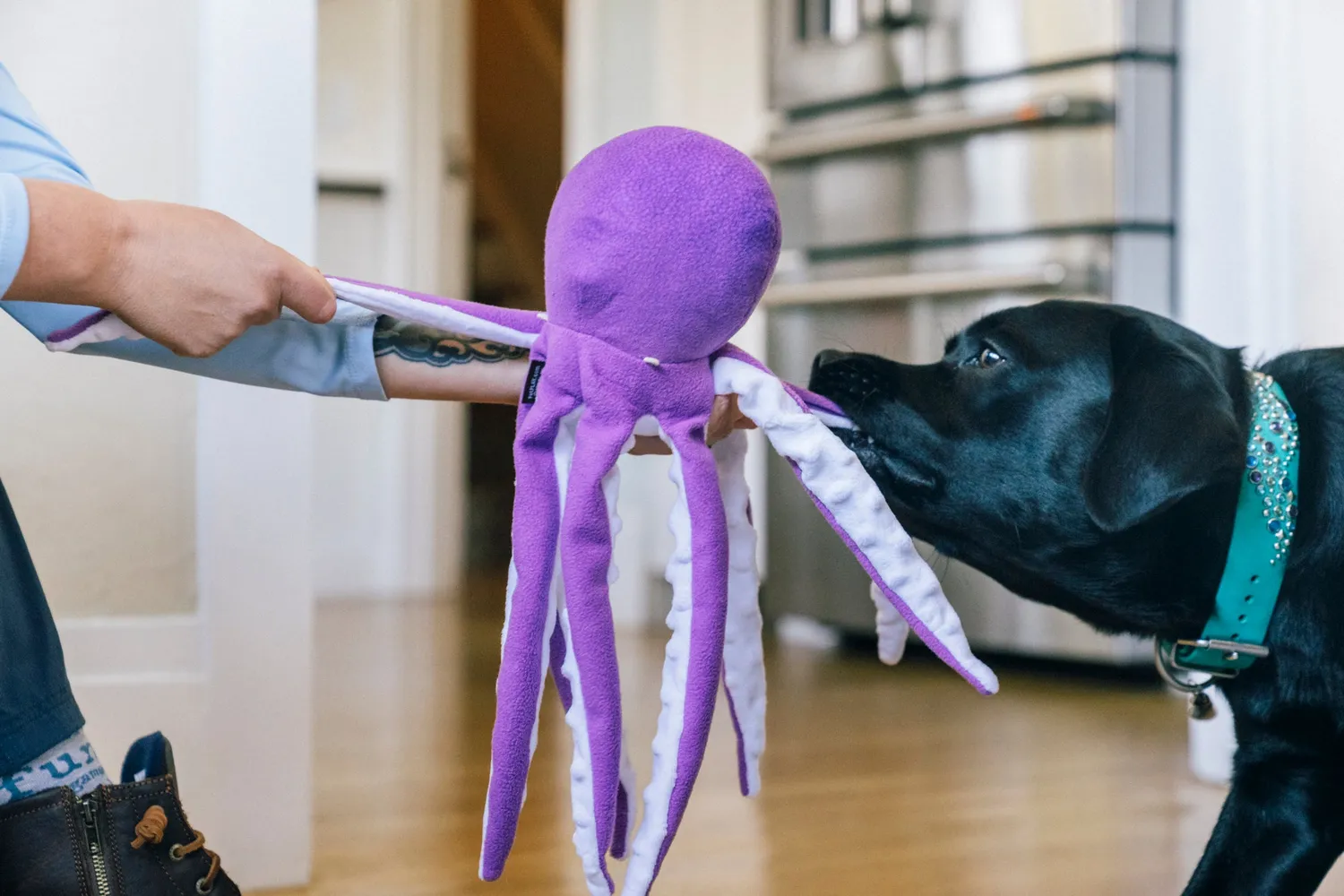 P.L.A.Y. Ocean Buddies Opal the Octopus hundleksak rosa