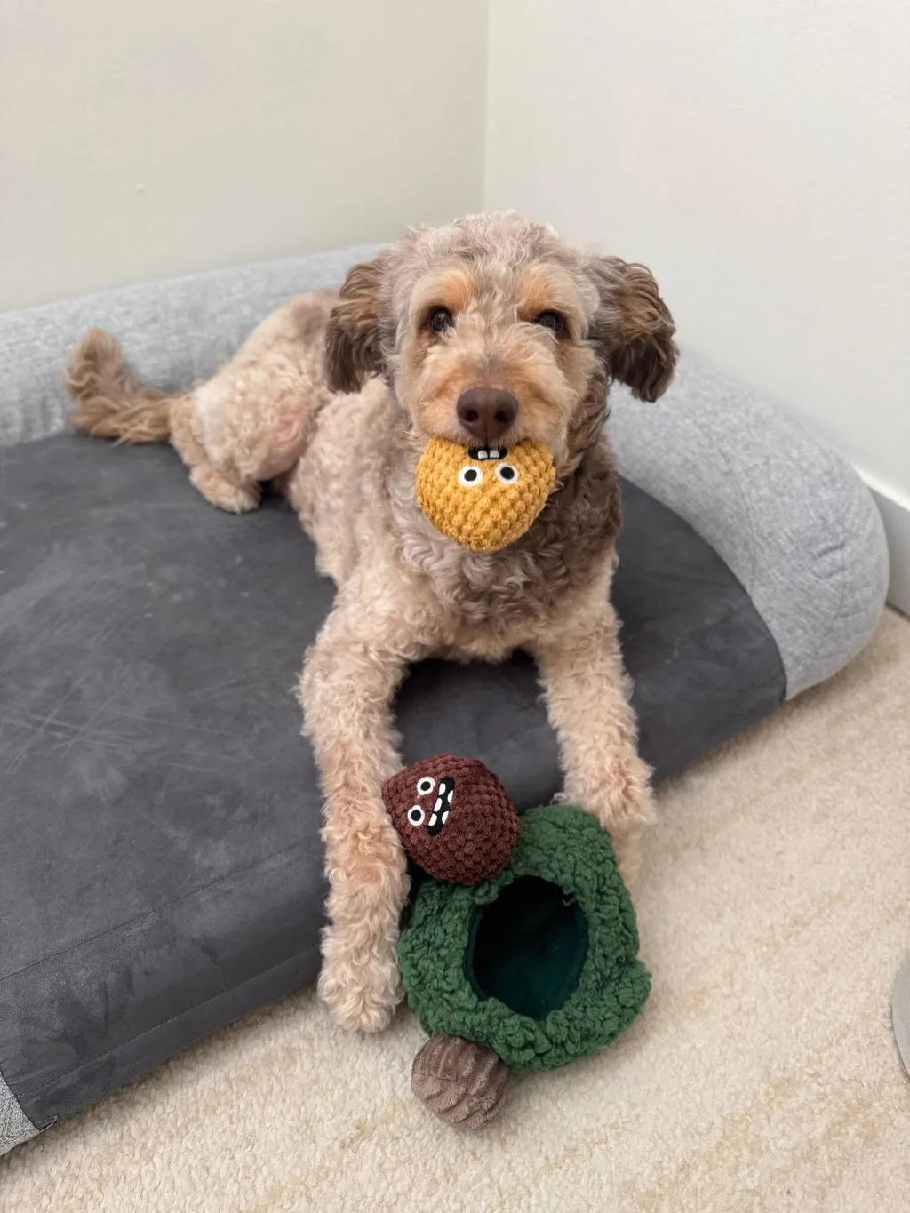 P.L.A.Y. Pine Pals hundleksak gömma godis med pip