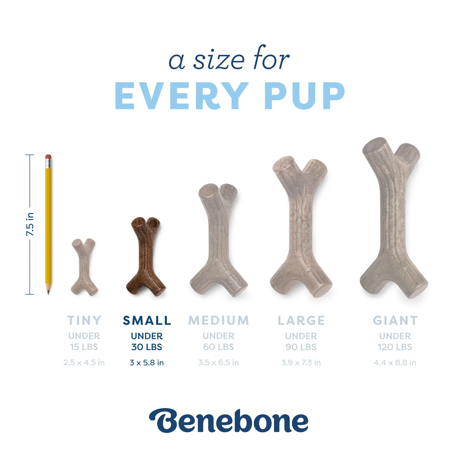 Benebone Puppy Stick valptugg tiny lönnträ