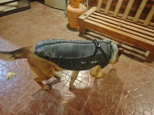 Pawtato Reflective Winter hundtäcke med sele reflex
