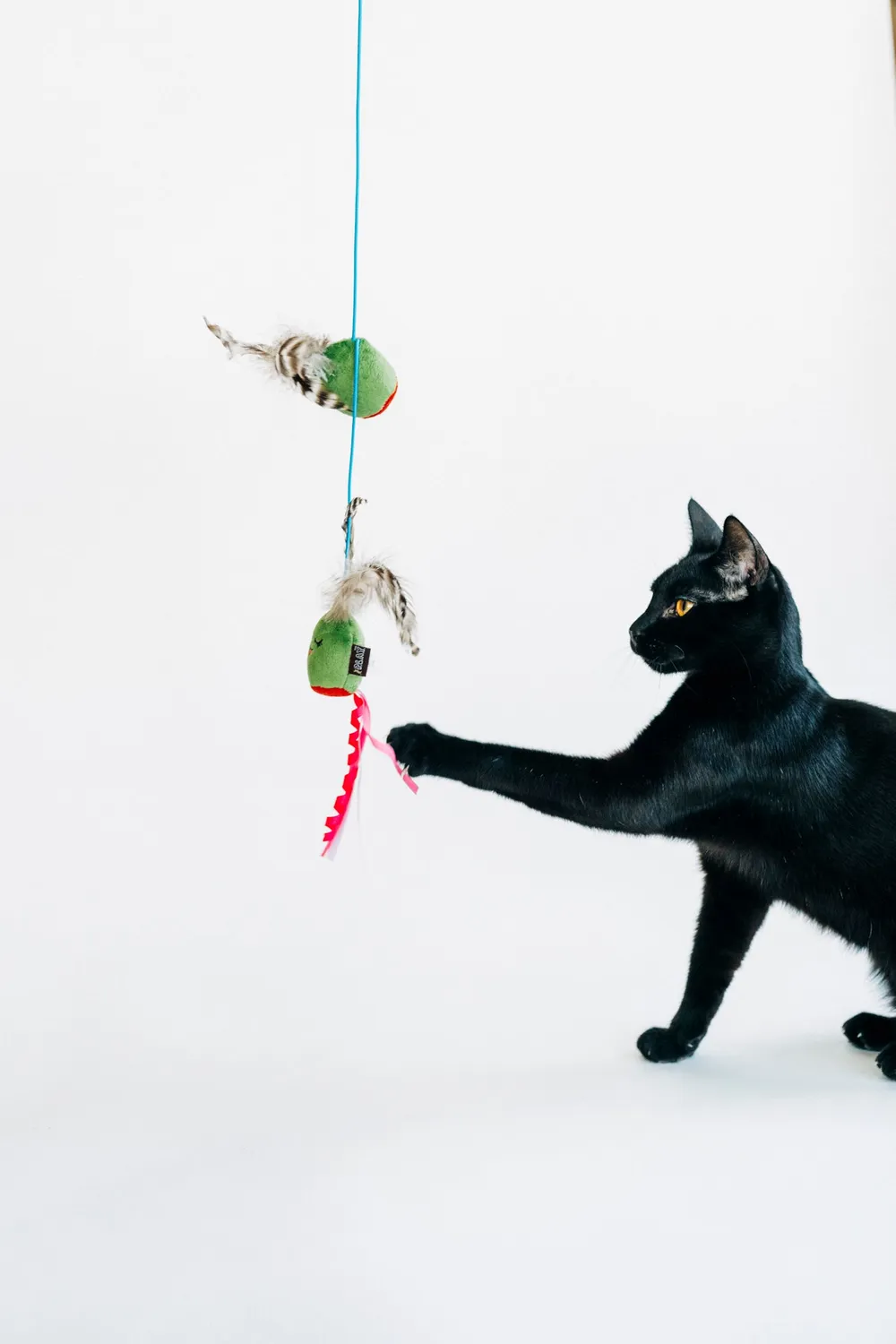 P.L.A.Y. Feline Frenzy Purrfectly Pitted Wand kattleksak oliv kattmynta