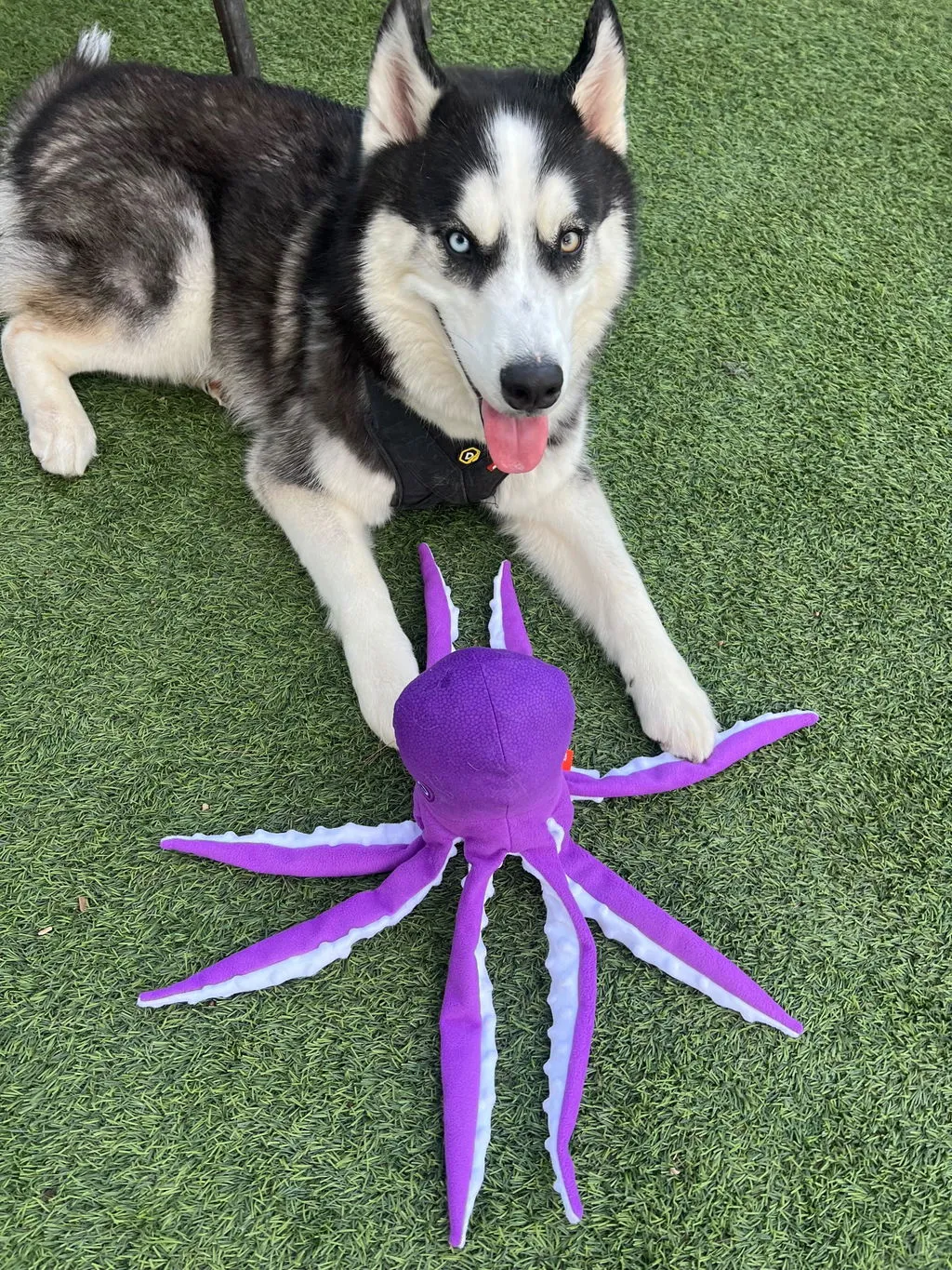 P.L.A.Y. Ocean Buddies Opal the Octopus hundleksak rosa