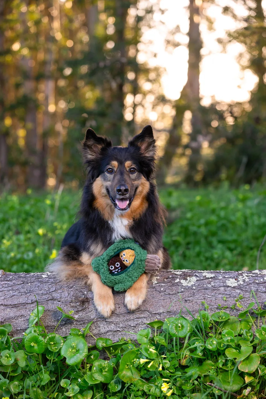 P.L.A.Y. Pine Pals hundleksak gömma godis med pip