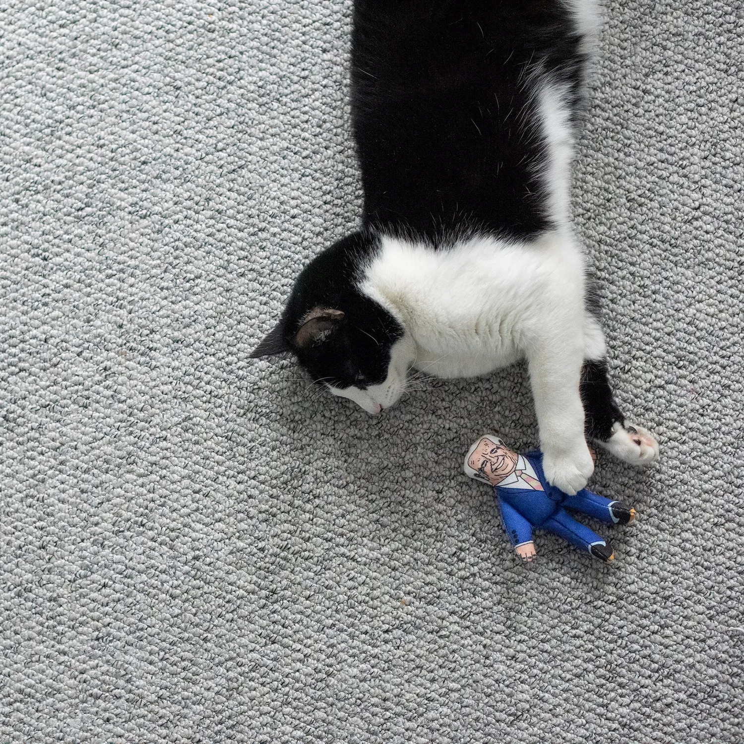 Pet Hates Toys Joe kattleksak med kattmynta