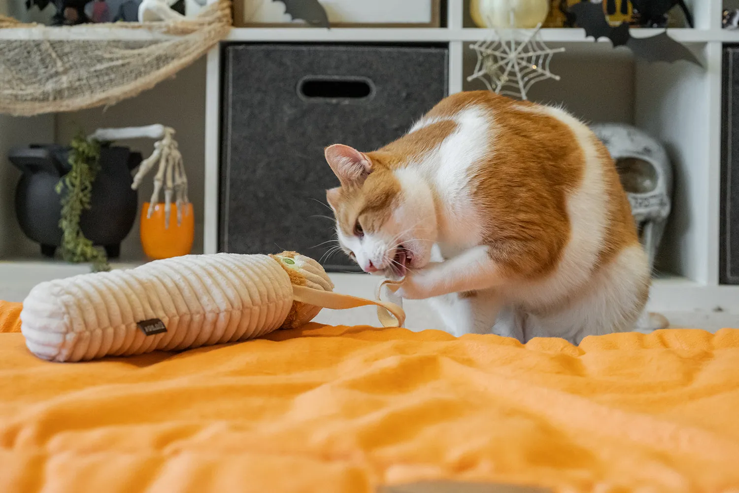 P.L.A.Y. Feline Frenzy Meow-my Kicker kattleksak mumie