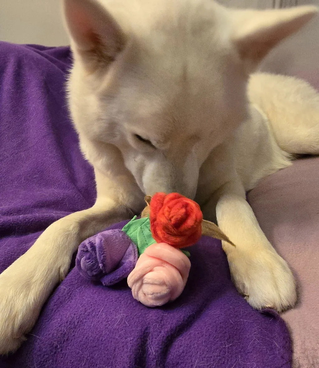P.L.A.Y. Puppy Love Barking Bubbly hundleksak med pip