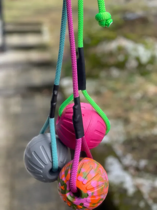 NewDog Foamboll 9cm boll med rep flytande