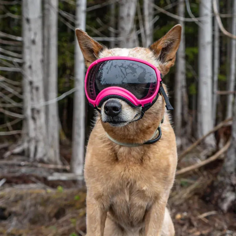 Pawtato UV400 Sun and Wind hundglasögon svart