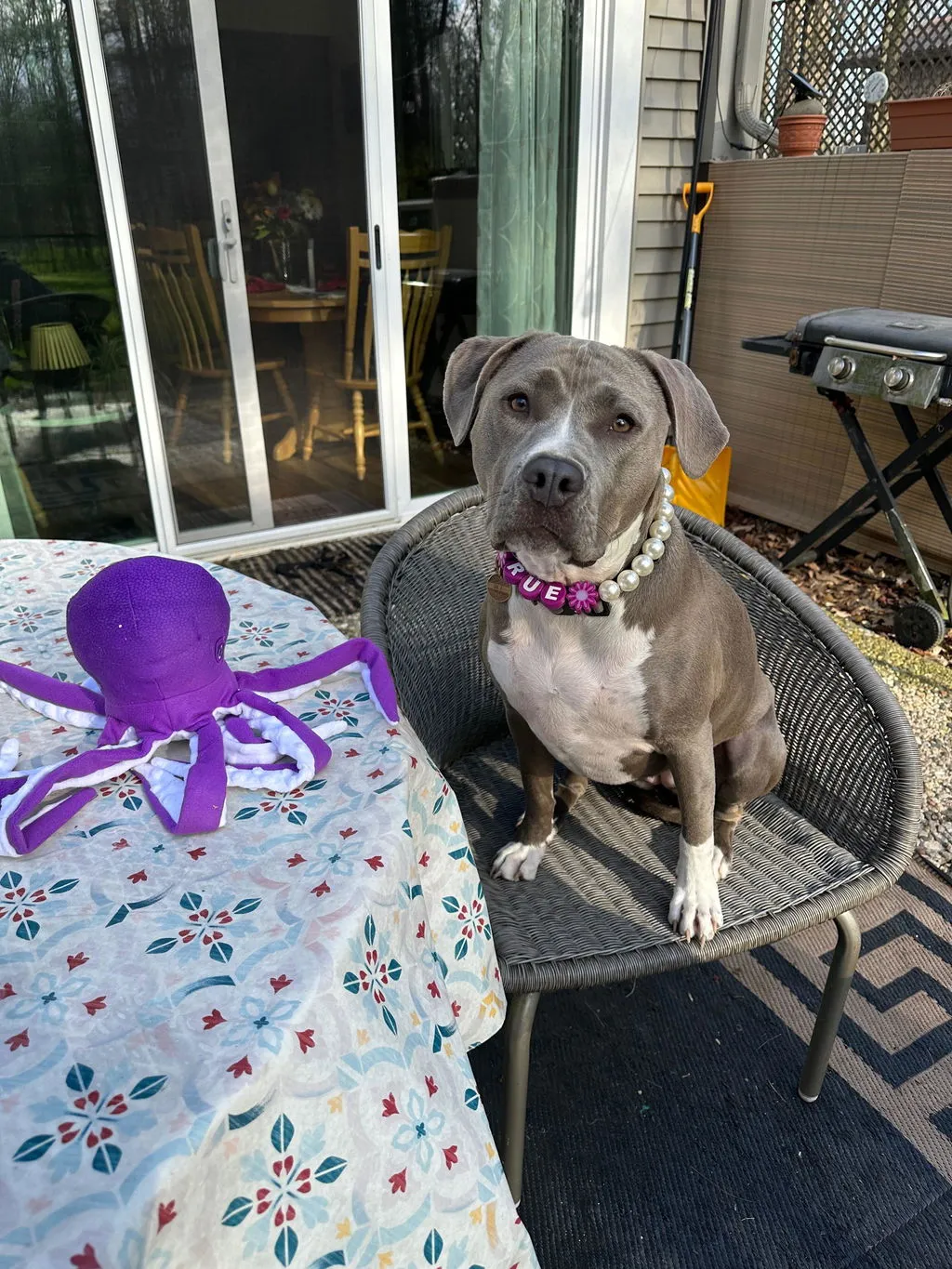P.L.A.Y. Ocean Buddies Opal the Octopus hundleksak rosa