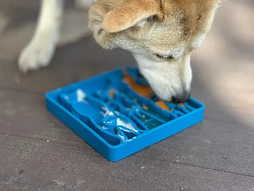 SodaPup Waiting Dogs eTray slow feeder-skål grund