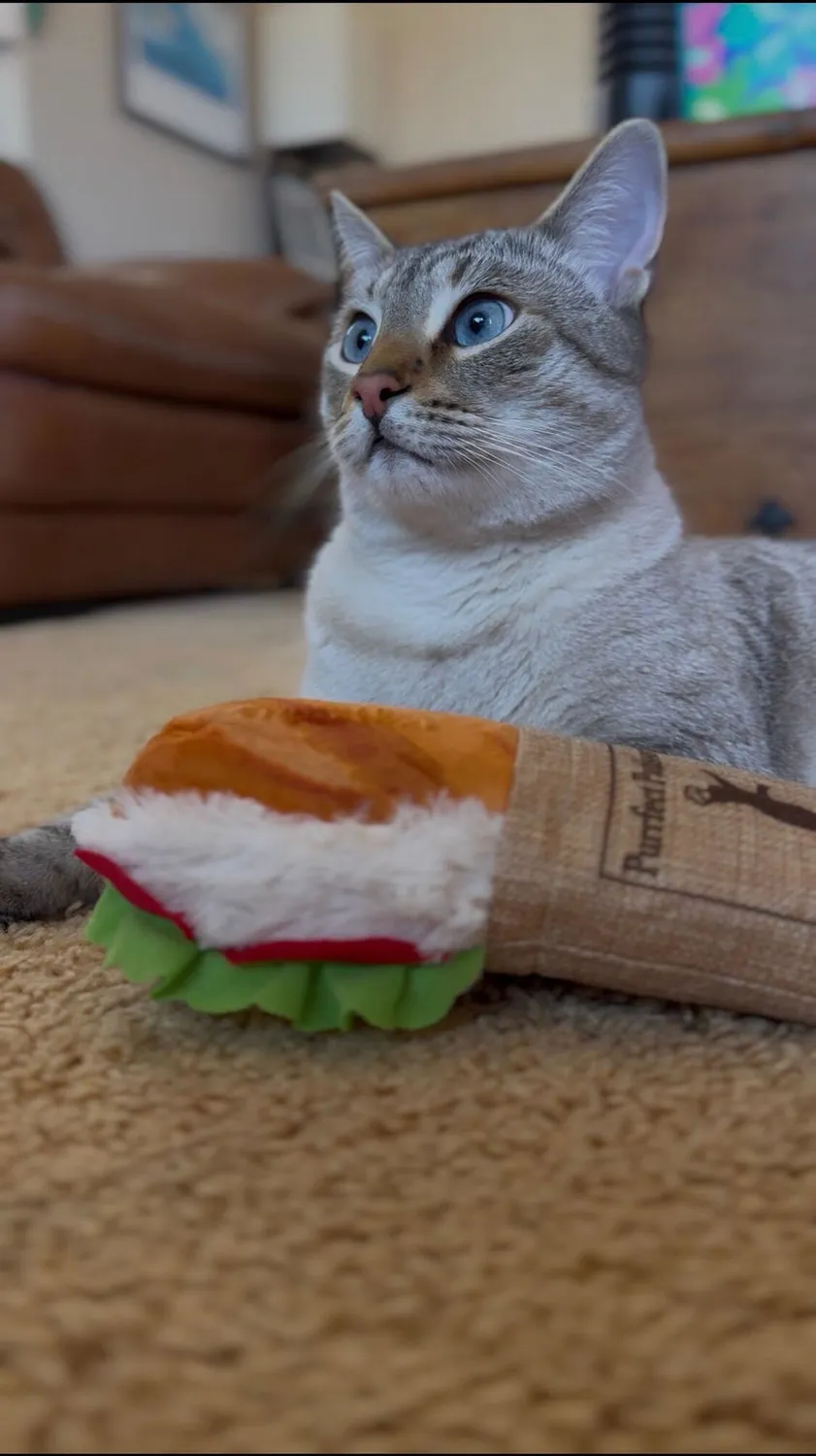 P.L.A.Y. Feline Frenzy Shrimp Purrito kattleksak kicker med kattmynta