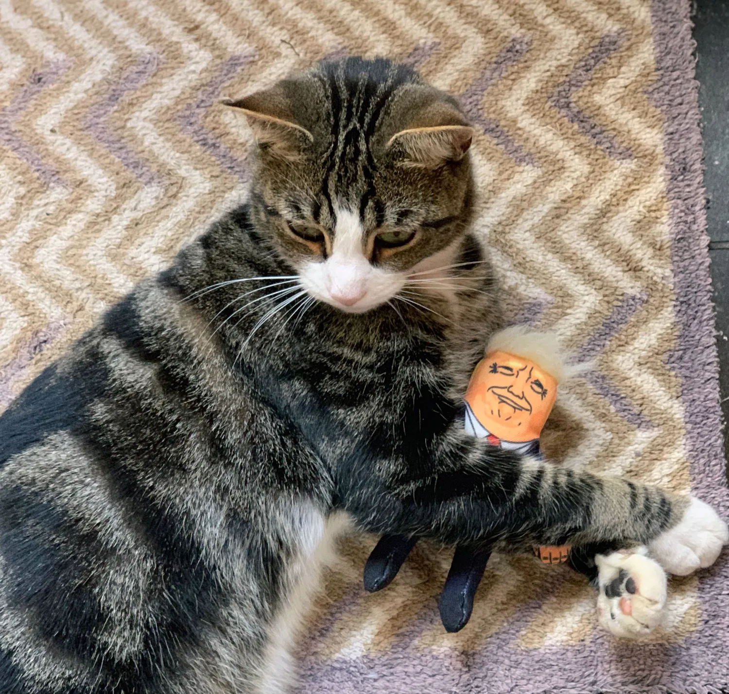 Pet Hates Toys Donald Trump kattleksak kattmynta