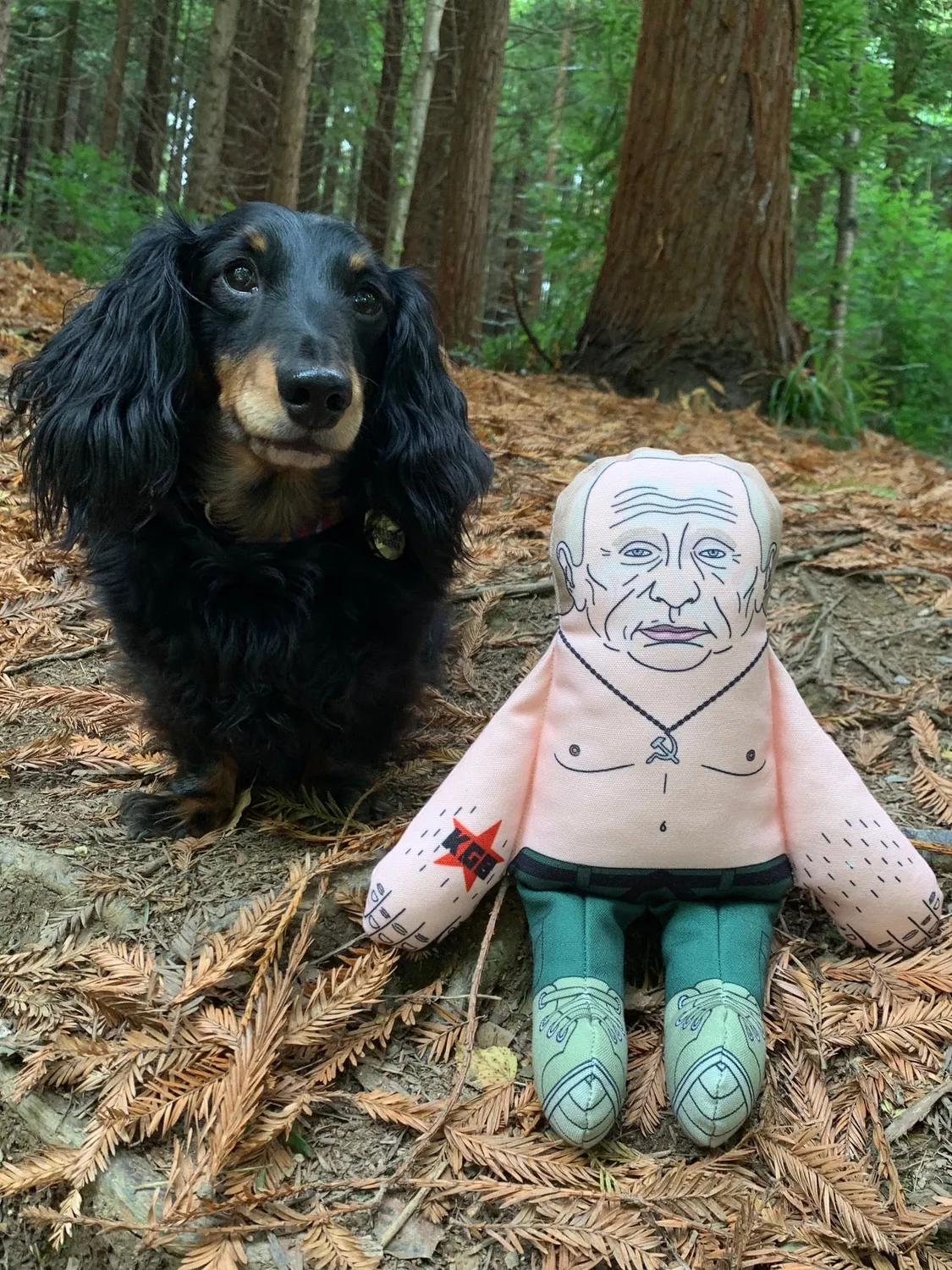 Pet Hates Toys Putin hundleksak med pip Regular