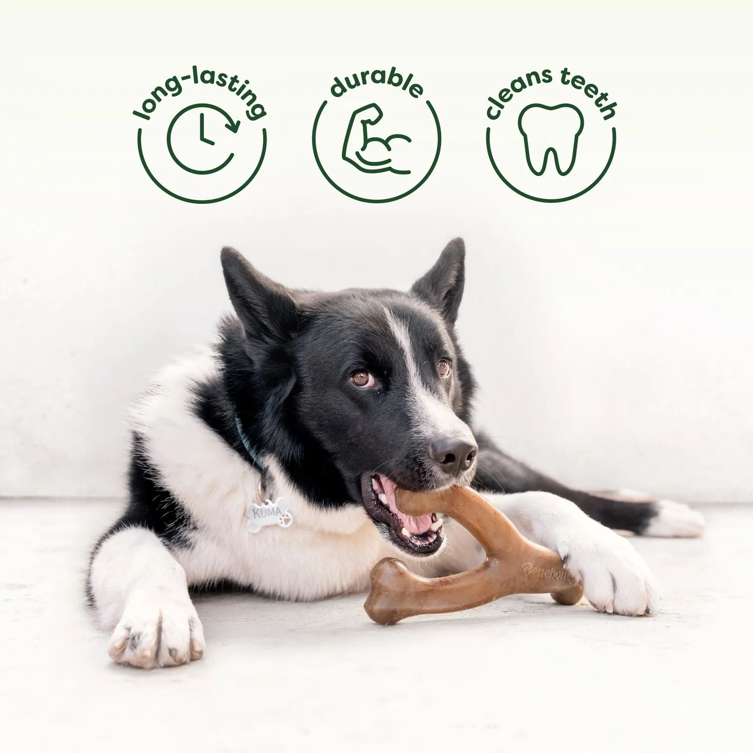Benebone Chew & Chase Duo tuggleksak Medium 2-pack bacon