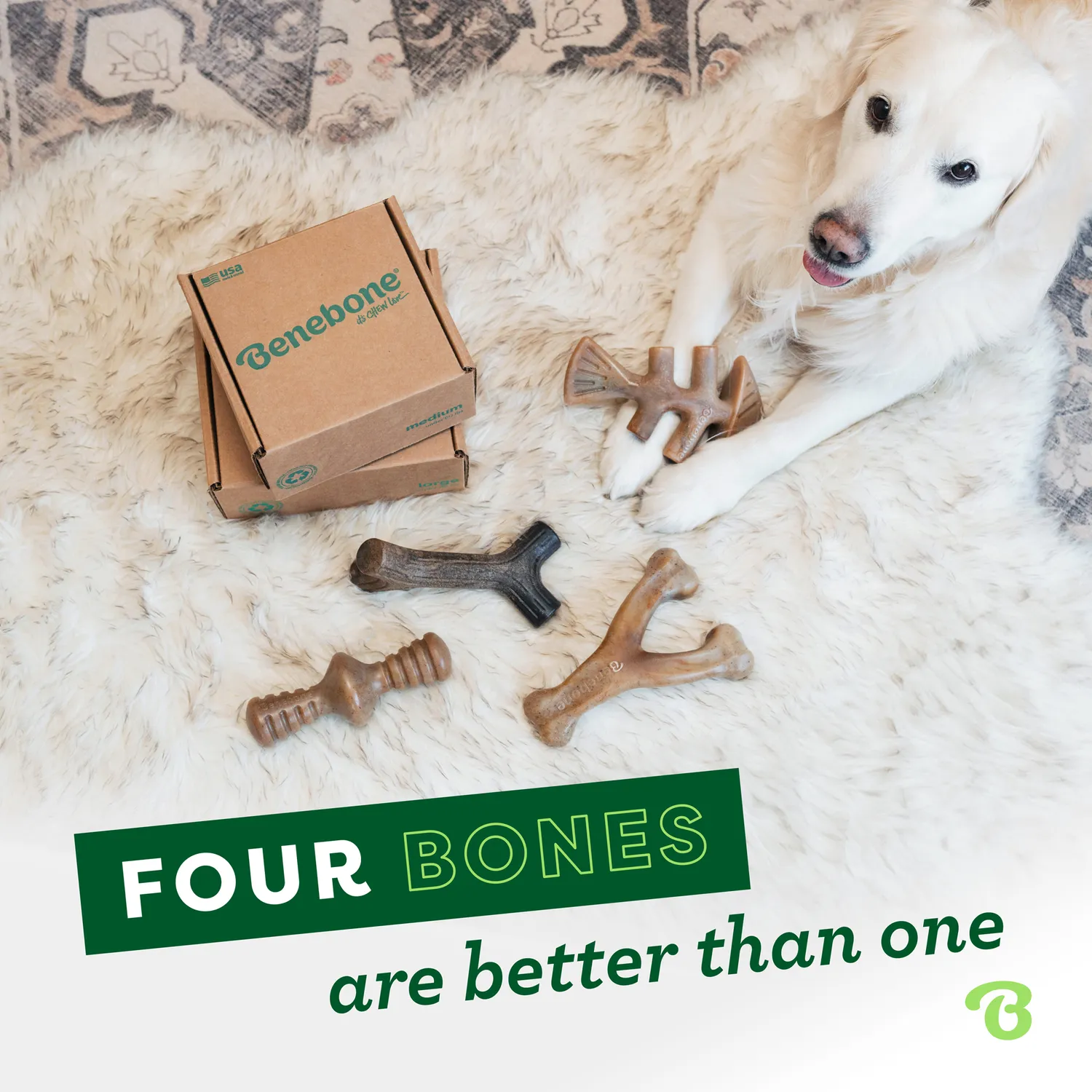 Benebone Classic Chew Collection tuggben 4-pack nylon