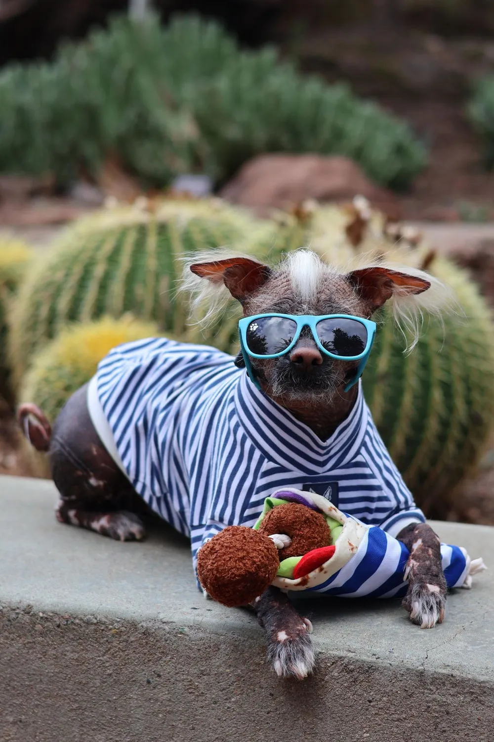 P.L.A.Y. International Classic Fur-lafel Wrap pip