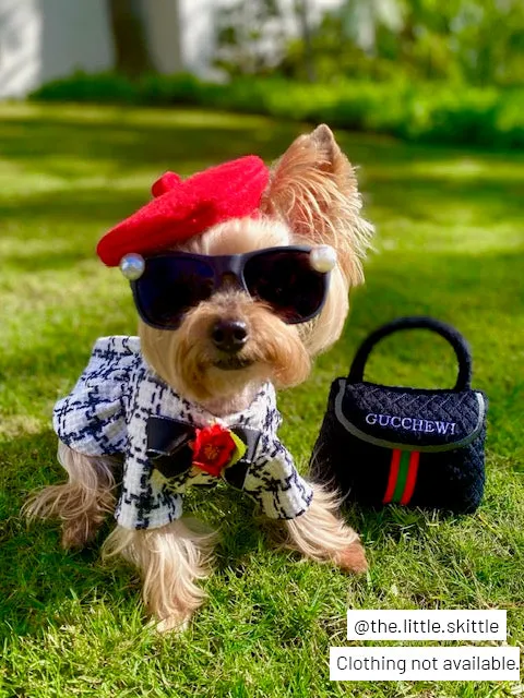 Dog Diggin Designs Gucchewi Striped Purse hundleksak mjuk