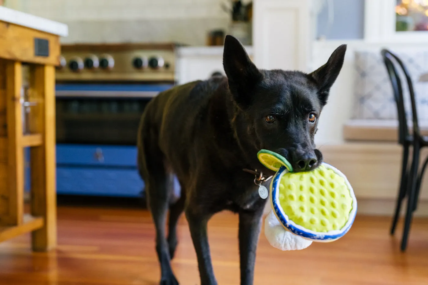 P.L.A.Y. Barktender Pup-arita hundleksak mjuk med pip
