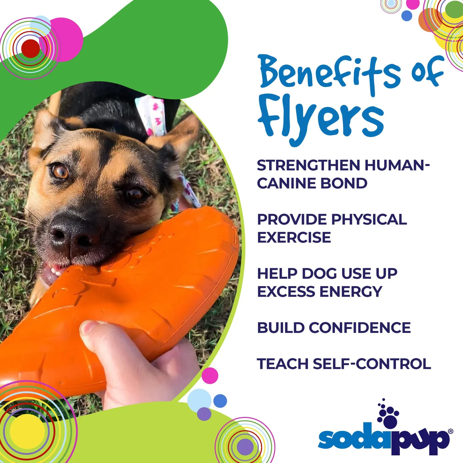 SodaPup Bottle Top Flyer frisbee Large orange naturgummi