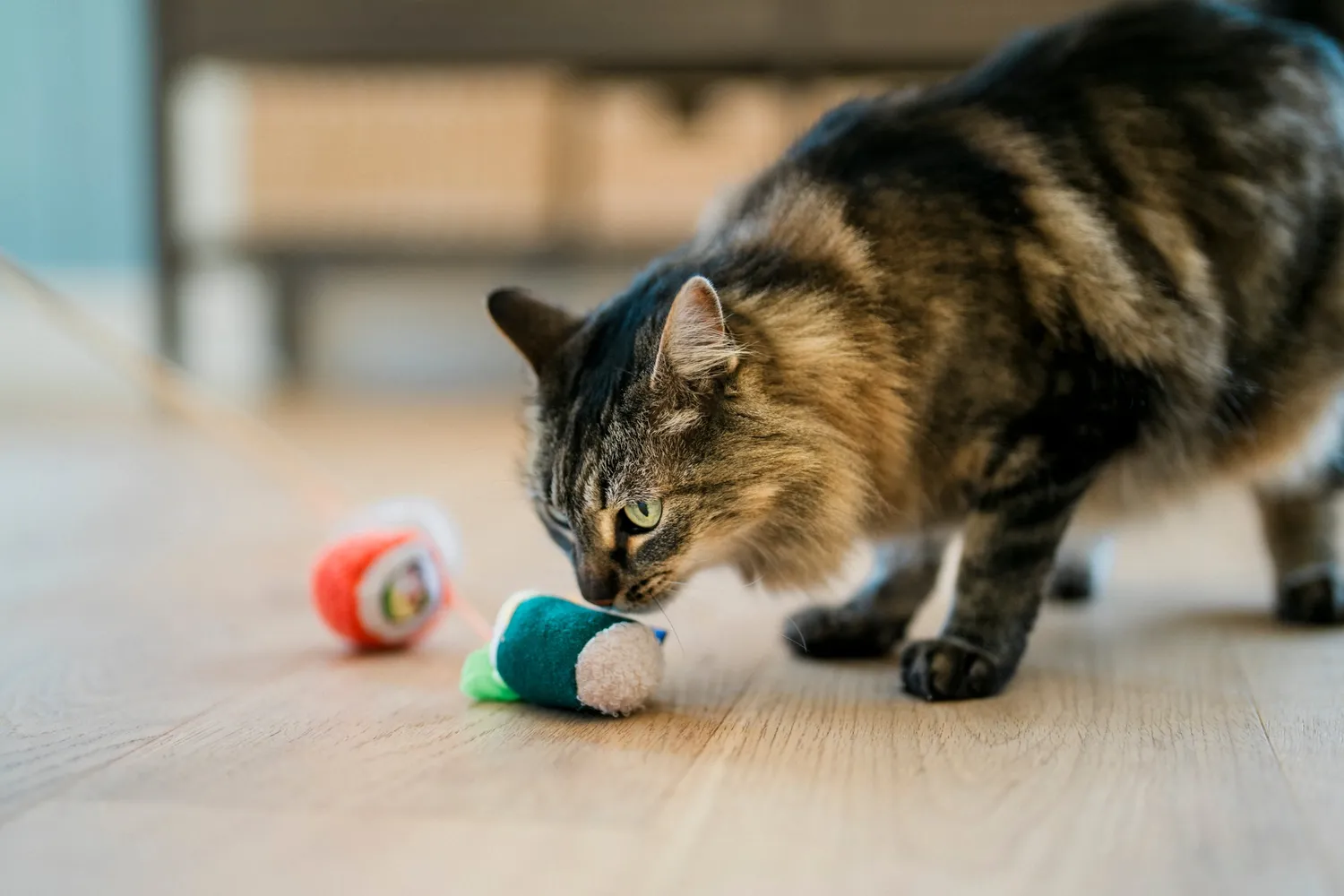 P.L.A.Y. Feline Frenzy Roll With It kattspö med kattmynta