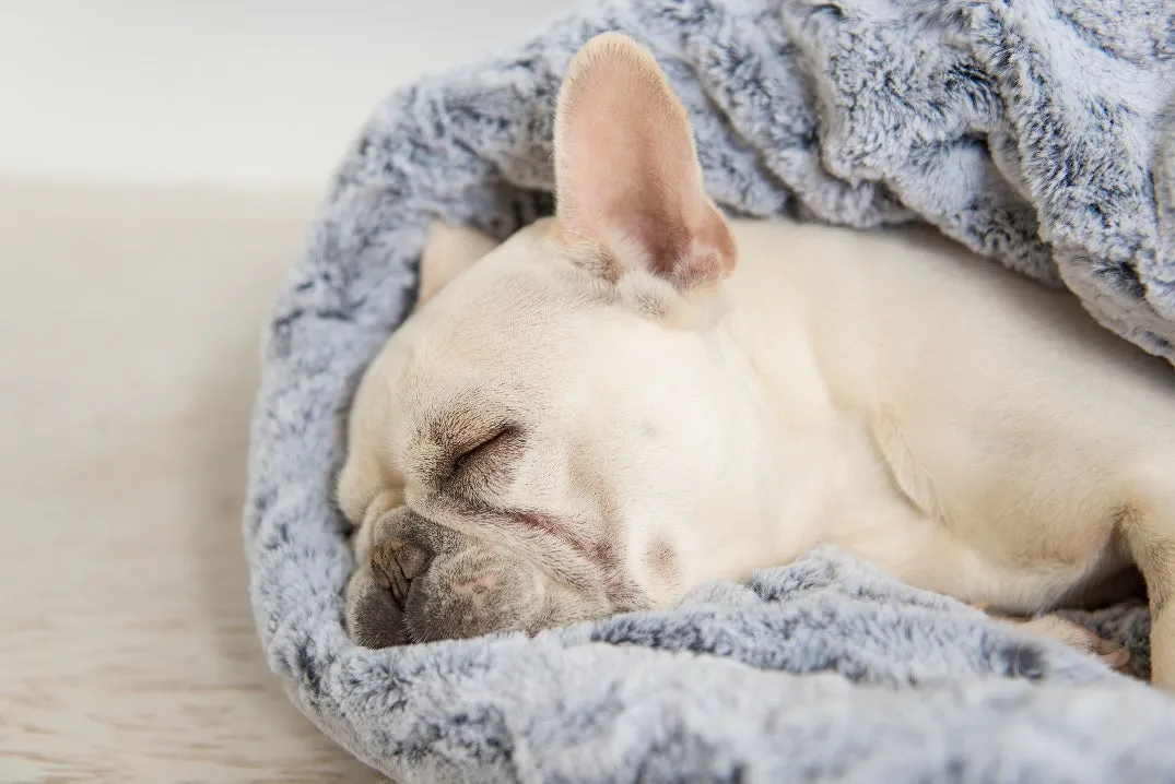 P.L.A.Y. Snuggle Bed hundbädd kattbädd mjuk bädd