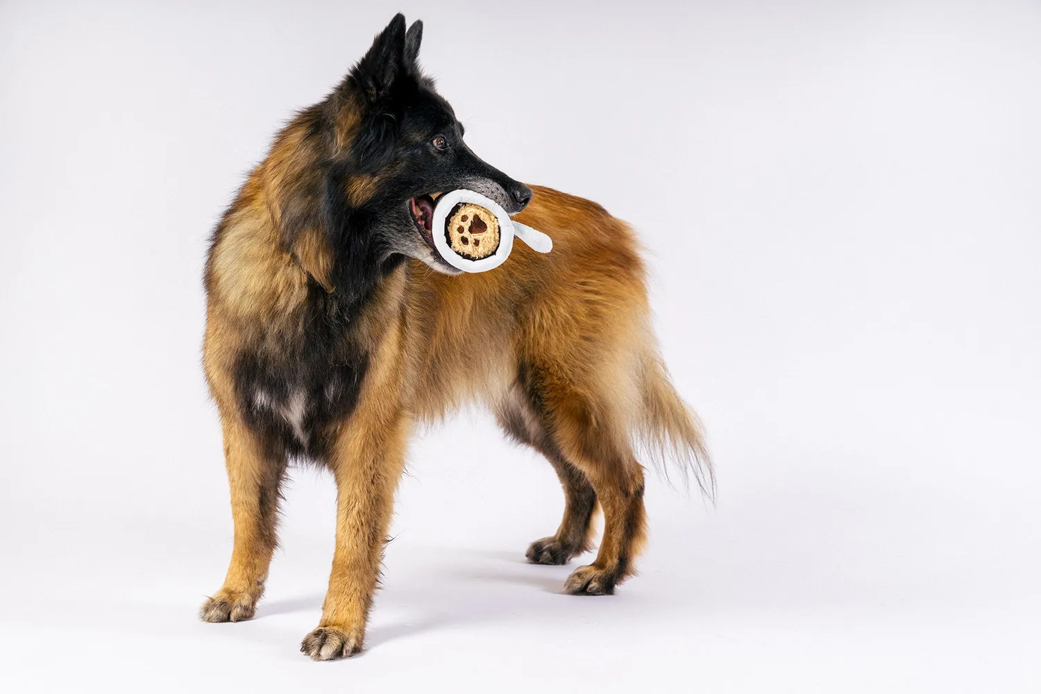 P.L.A.Y. Barking Bean Brew hundleksak vit kaffemugg med pip