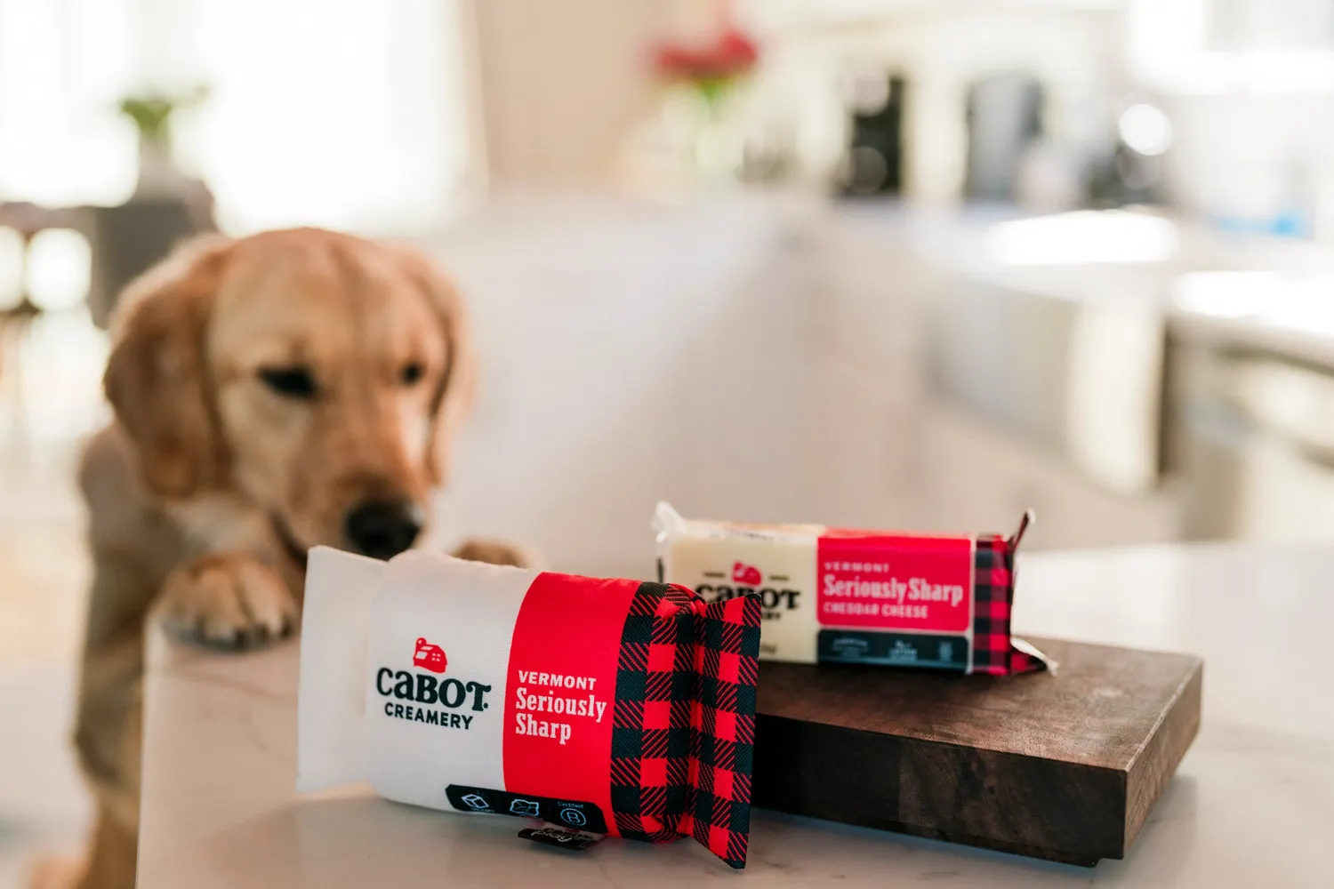 P.L.A.Y. Cabot Creamery Seriously Sharp hundleksak med pip