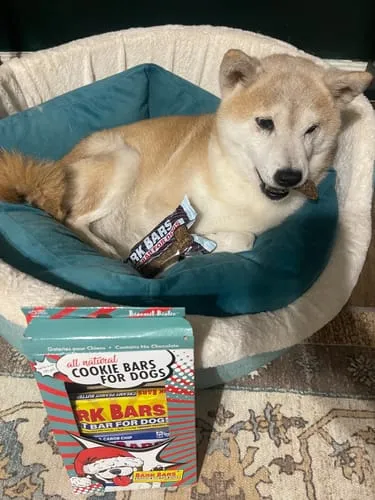 Spunky Pup Bark Bar hundgodis peanut butter singelbar