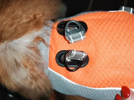 Pawtato Cooling Dog Vest kylande hundväst med koppelring
