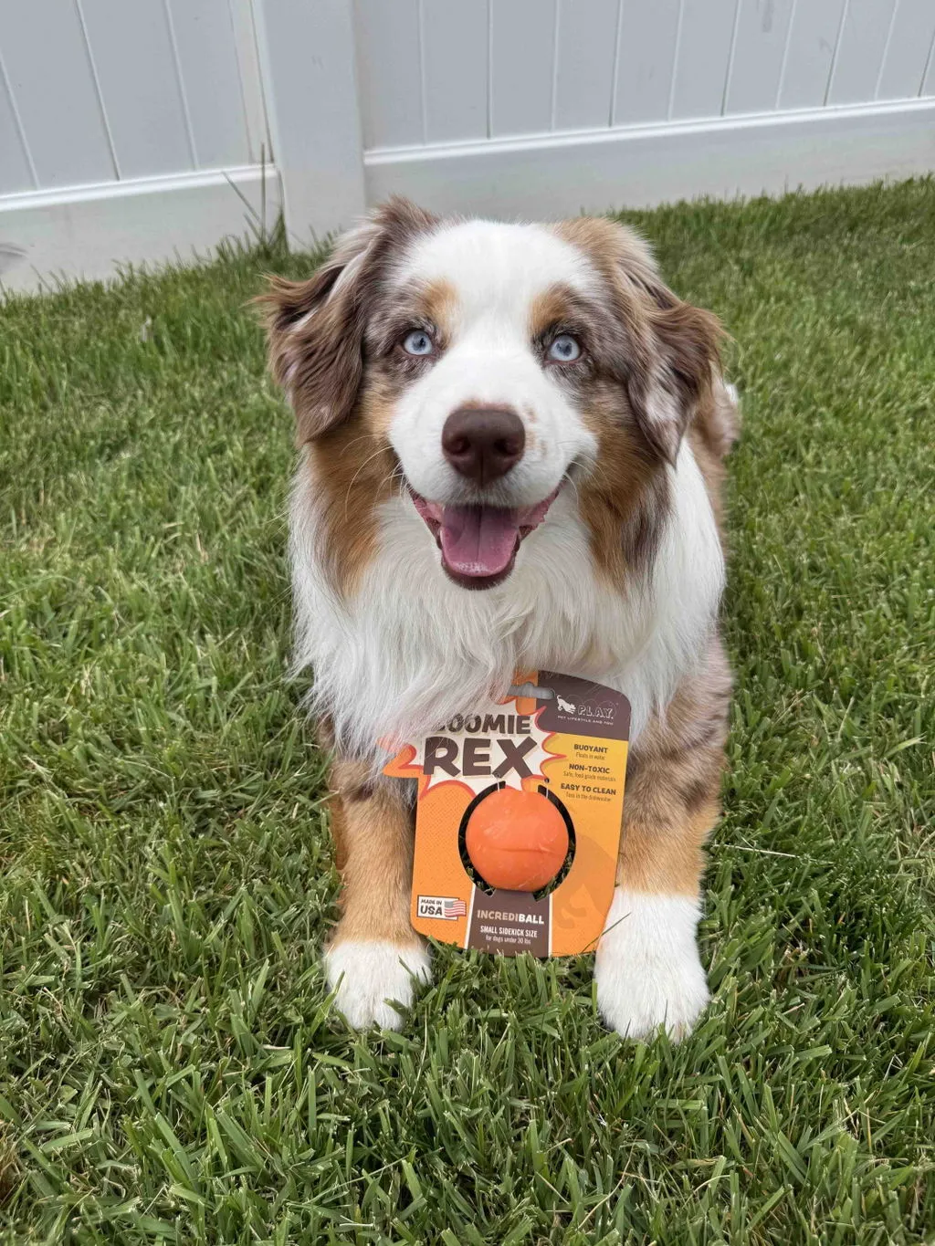 P.L.A.Y. ZoomieRex IncrediBall flytande hundboll