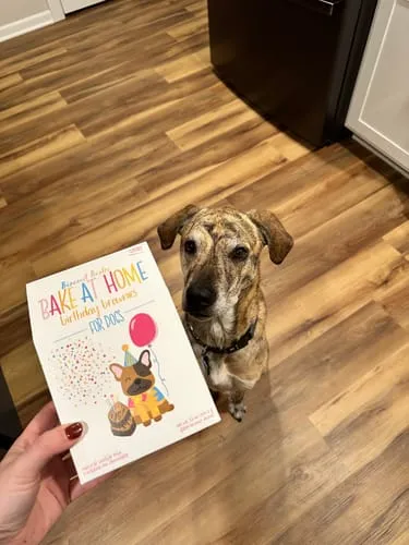 Spunky Pup Bake at Home Kits hundkex Celebration Cookies