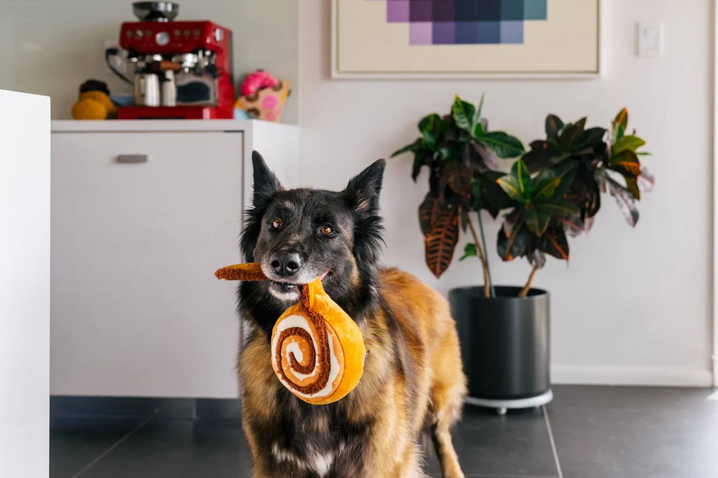 P.L.A.Y. Pup Cup Café Cinna-bone hundleksak med prassel
