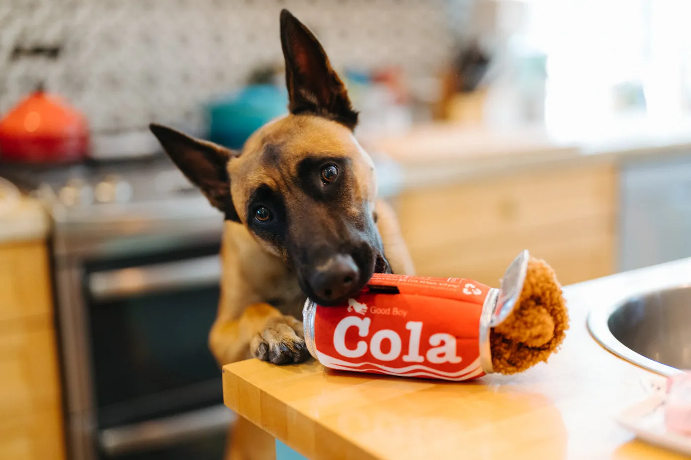 P.L.A.Y. Snack Attack Good Boy Cola hundleksak M med pip