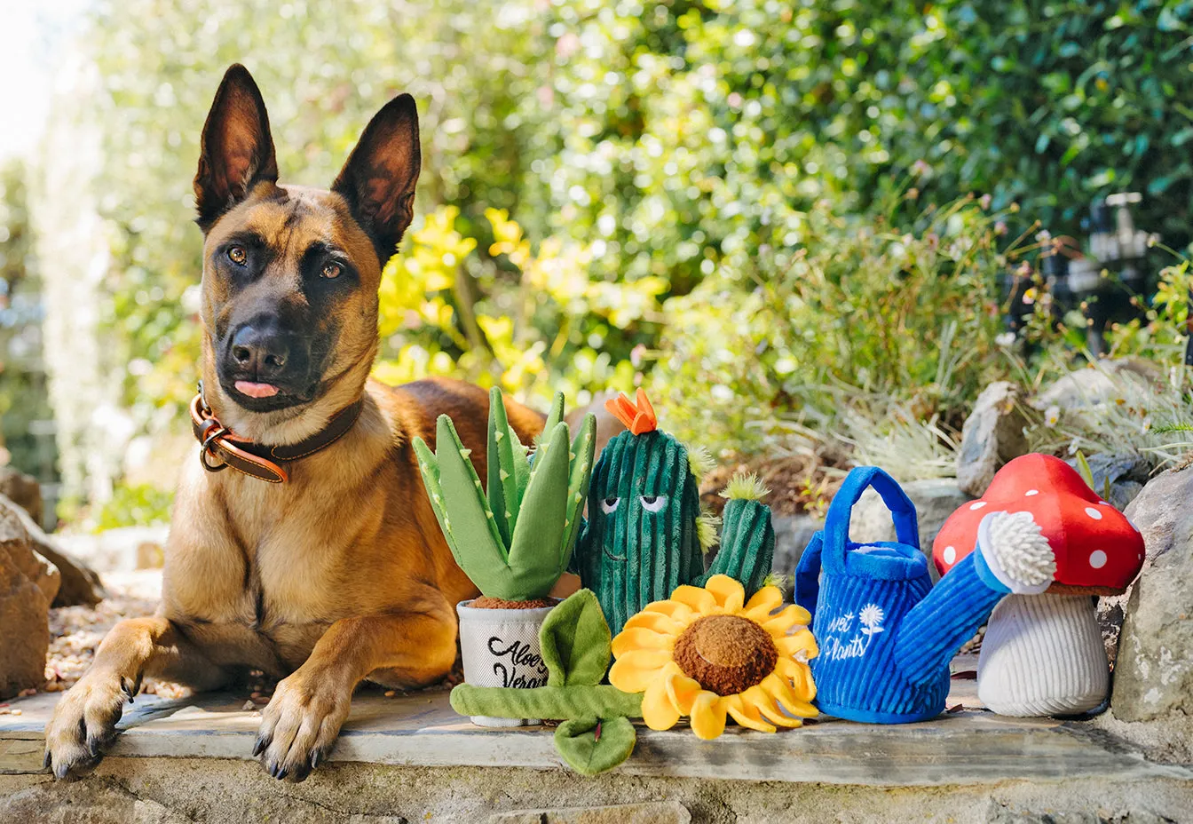P.L.A.Y. Blooming Buddies hundleksak 5-pack med pip