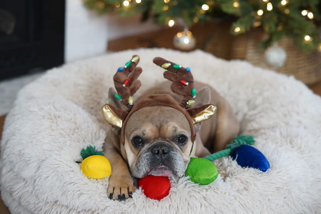 P.L.A.Y. Home Holidays Twinkly Tugger dragleksak fler