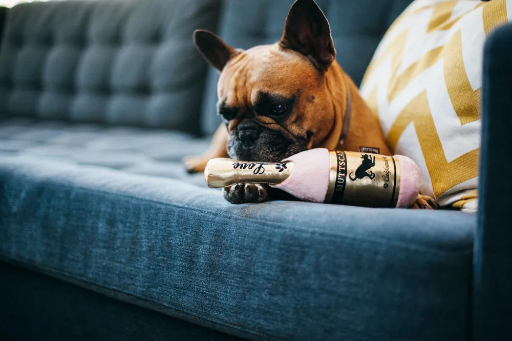 P.L.A.Y. Puppy Love Collection hundleksak set med pip