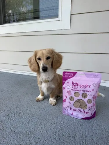 Spunky Pup All Natural Baked Biscuits hundkex Prime Rib 10 oz naturliga