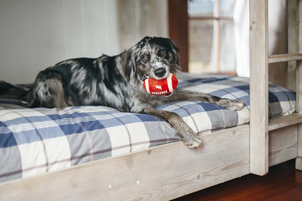 P.L.A.Y. Back to School Fido's Football hundleksak pip
