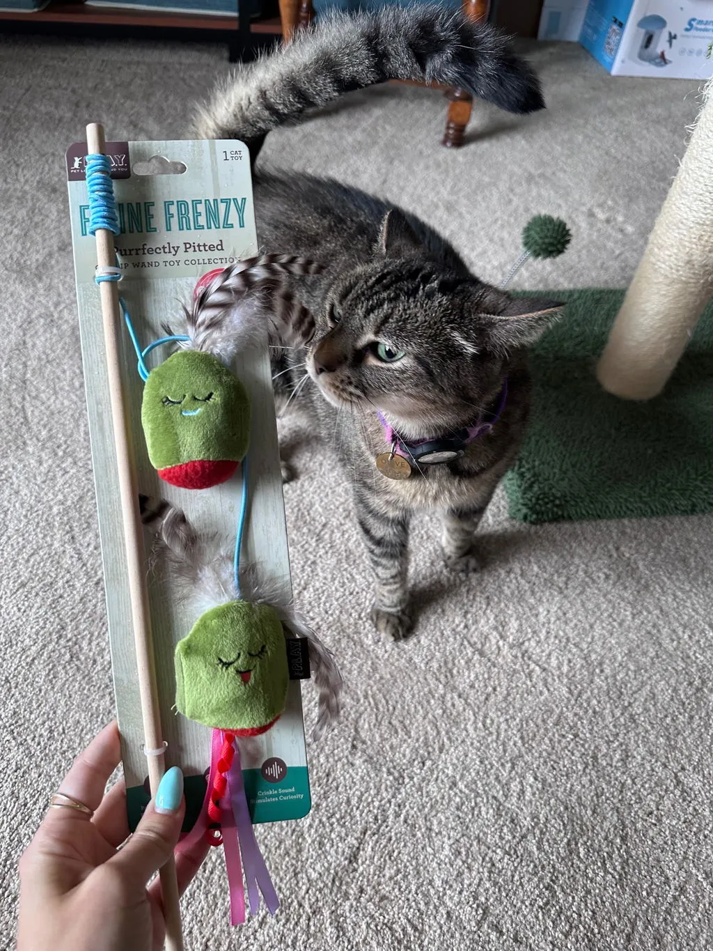P.L.A.Y. Feline Frenzy Purrfectly Pitted Wand kattleksak oliv kattmynta