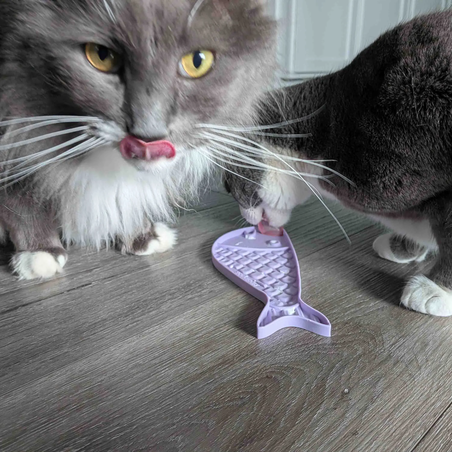 SodaPup Goldfish slickmatta mini lila för katt