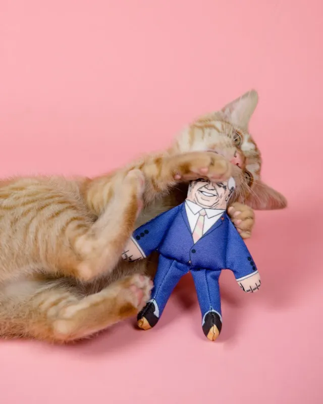Pet Hates Toys Joe kattleksak med kattmynta