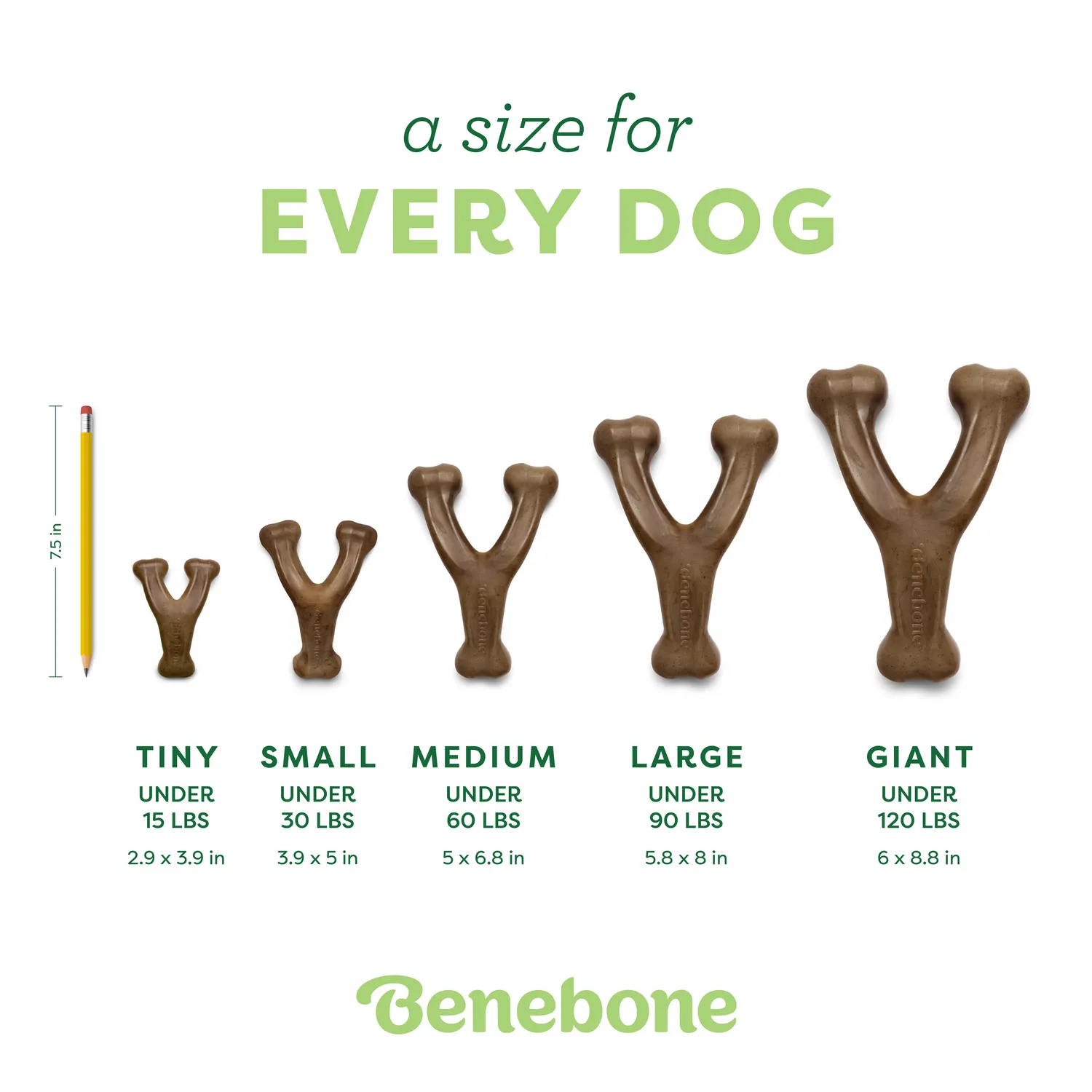 Benebone Wishbone tuggben Medium bacon nylon