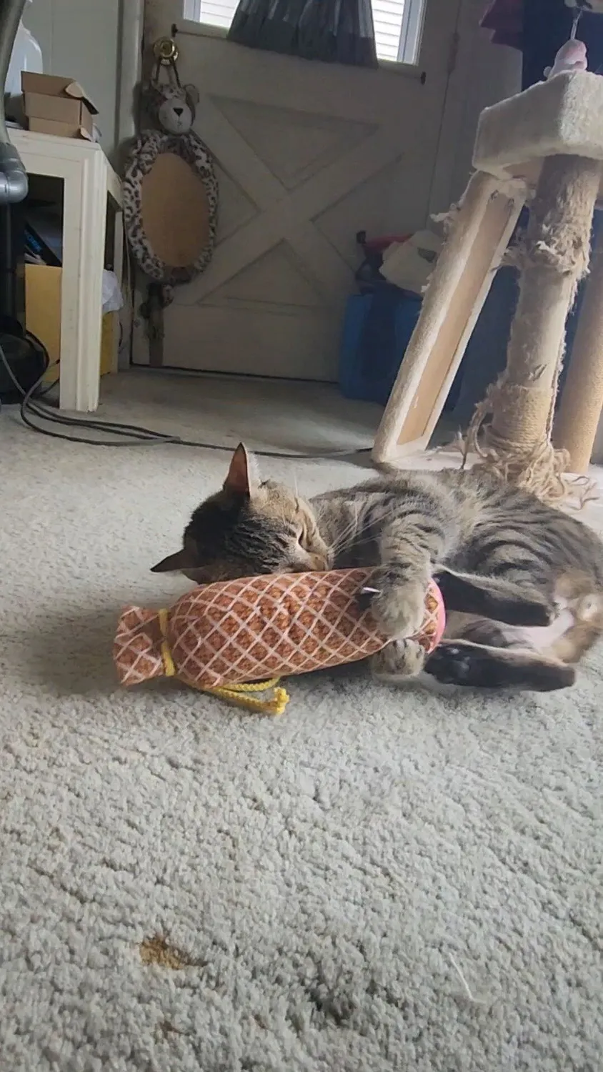 P.L.A.Y. Feline Frenzy Salami Slammer kattleksak kattmynta