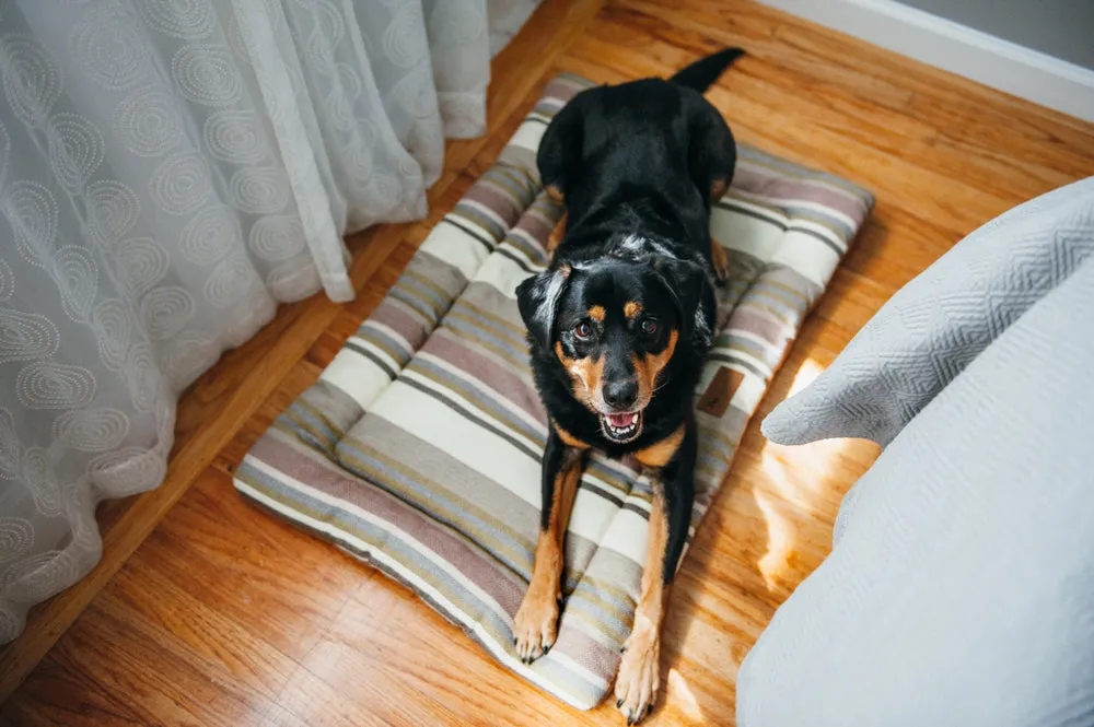 P.L.A.Y. Horizon Chill Pad hundmatta Desert M