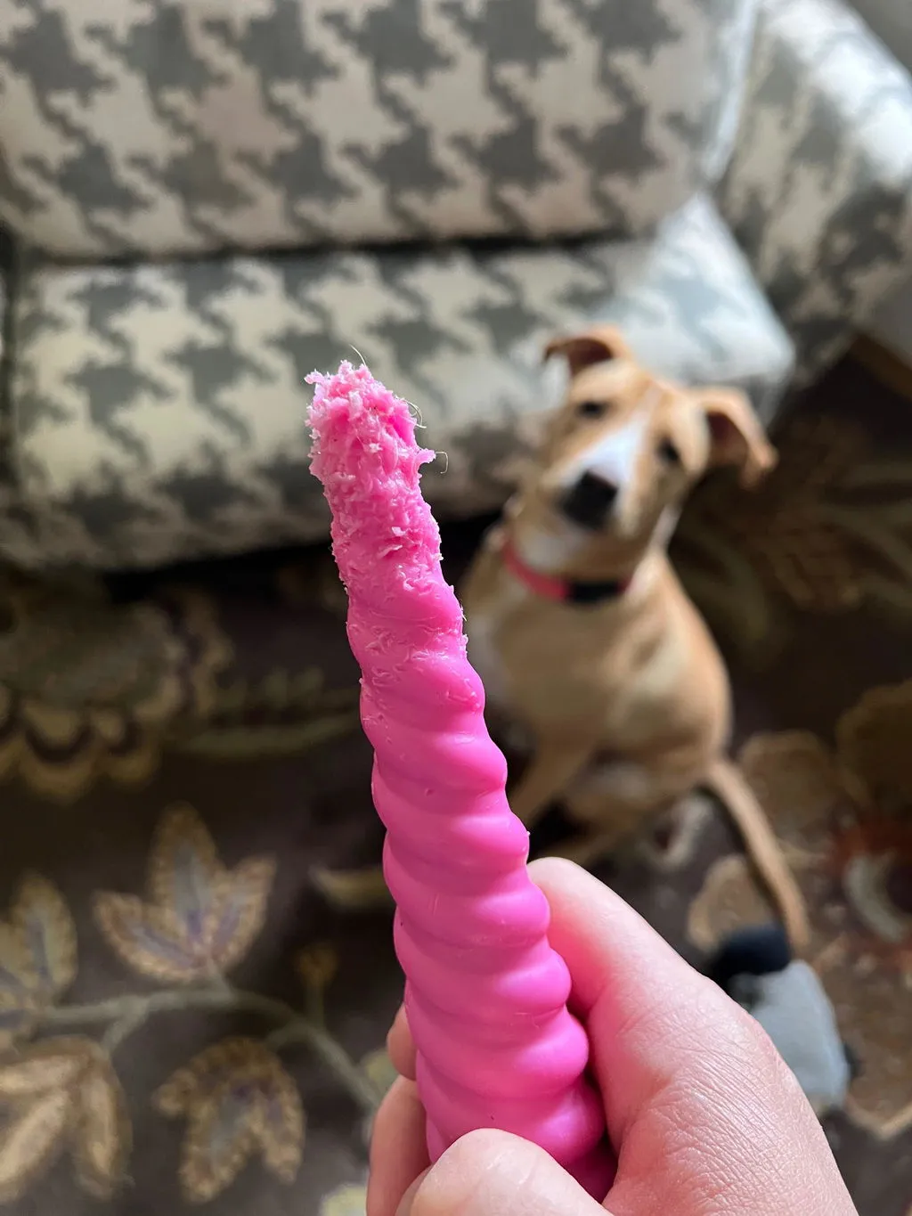 SodaPup Unicorn Horn tuggleksak nylon rosa
