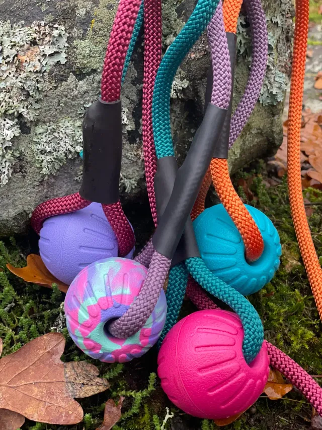NewDog Foamboll 5cm boll med rep flytande