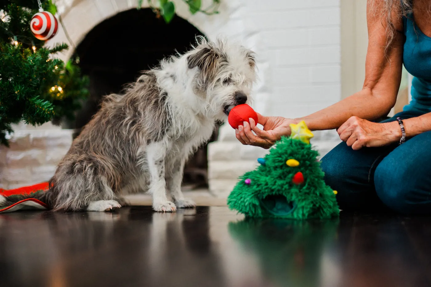 P.L.A.Y. Merry Woofmas Doglas Fur hundleksak gran med pip