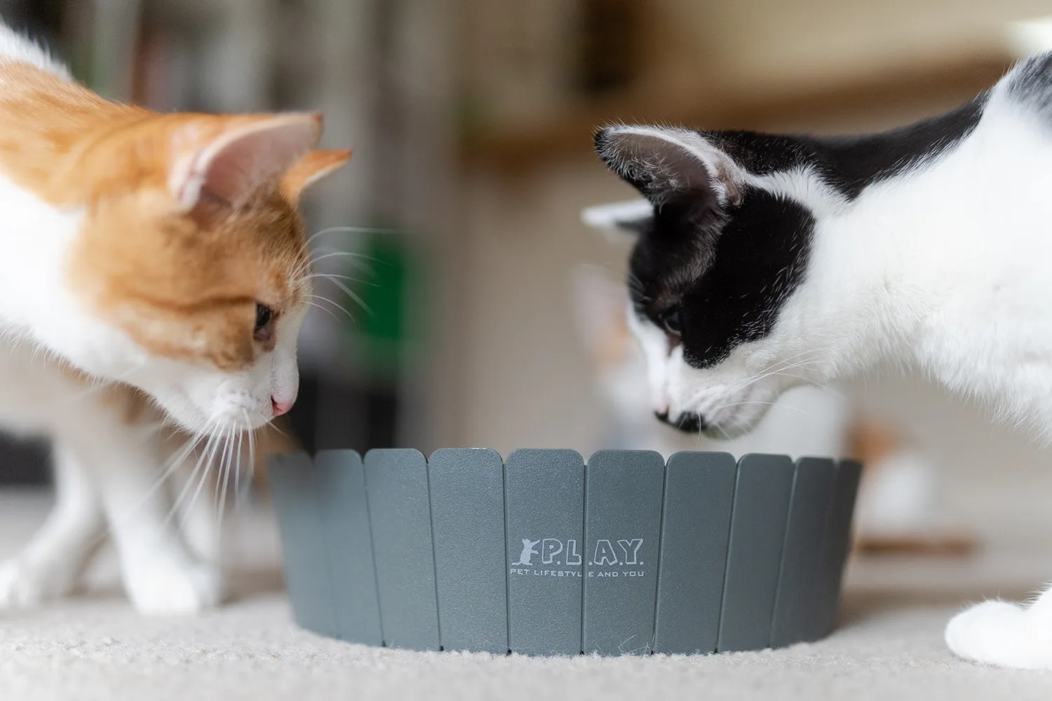 P.L.A.Y. Feline Frenzy Peek-a-Boo Mouse kattleksak interaktiv mus