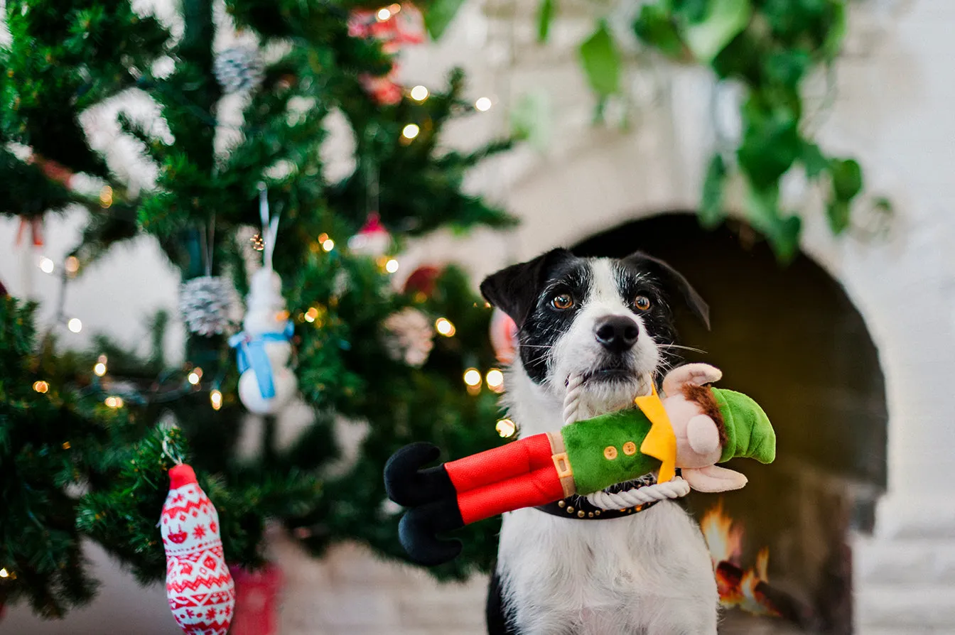 P.L.A.Y. Merry Woofmas Collection hundleksak julset 5-pack pip