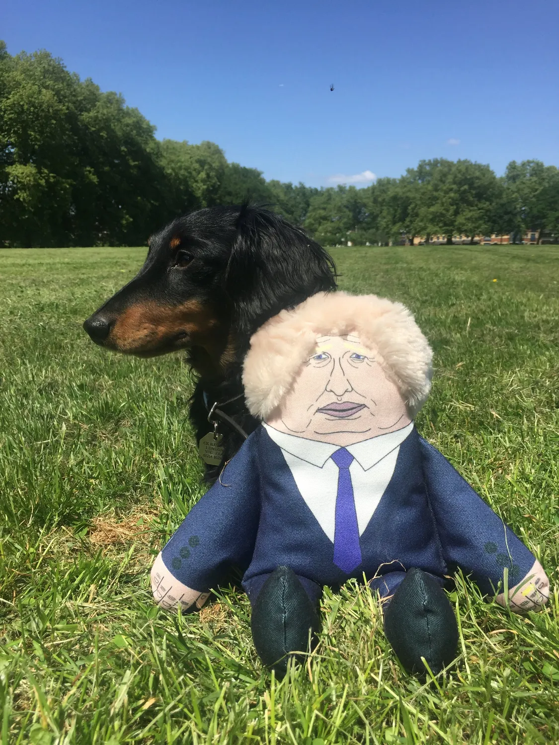 Pet Hates Toys Boris hundleksak regular plyschhår